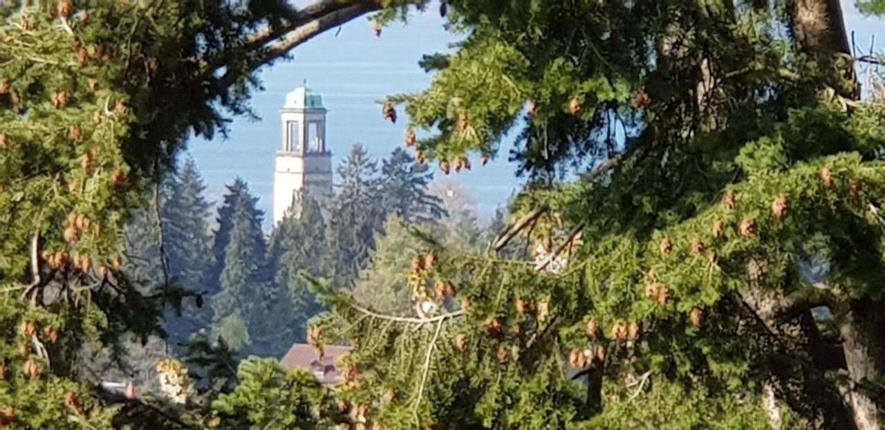 伯多兹Alpenblick 3公寓 外观 照片